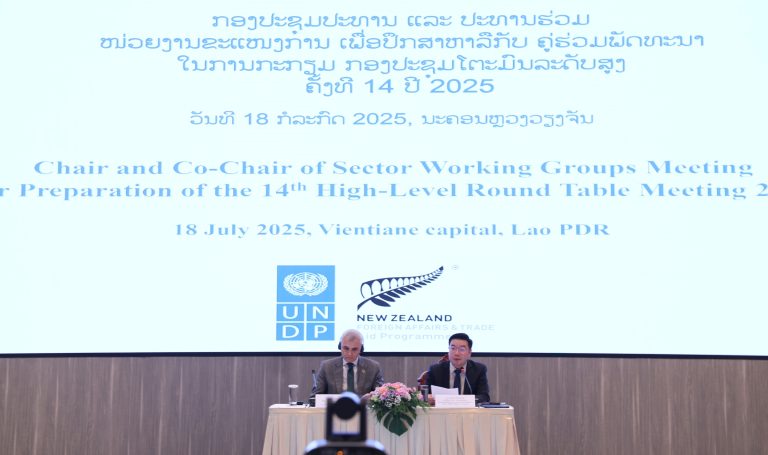 Chair and Co-Chair Meeting  Ministry of Finance and UNDP 18 July 2025