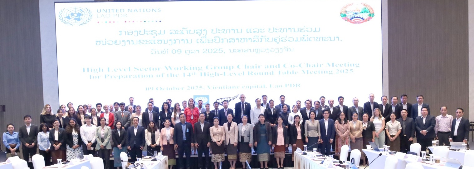 High-Level Meeting of Sector Working Group Chairs and Co-Chairs with Development Partners 